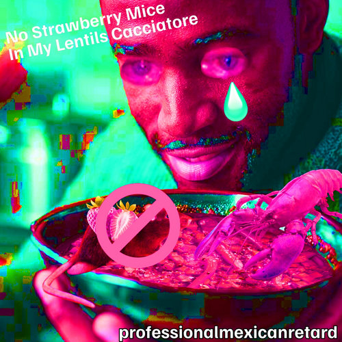 Enrique's Take On There Are No Strawberry Mice In My Lentils Cacciatore
